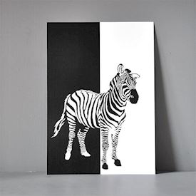 Postkort A5 - Zebra